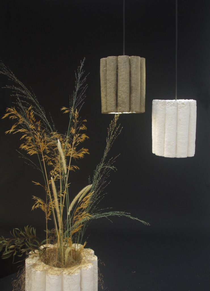 Boutures d'objets - Hebelome